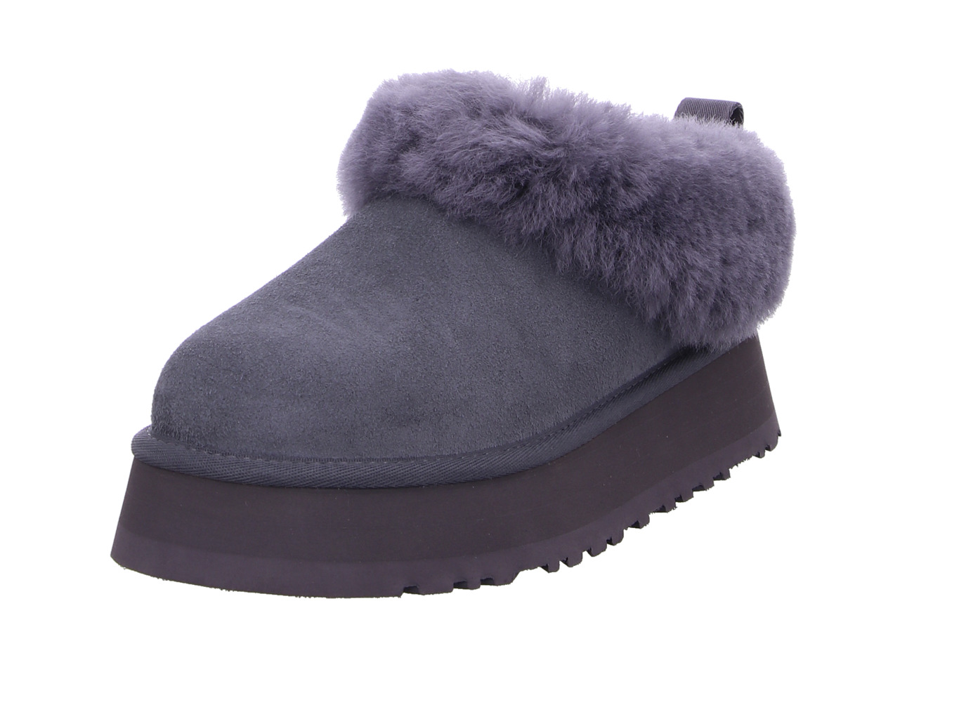 ugg_tazzelle_1171393_obs_1184