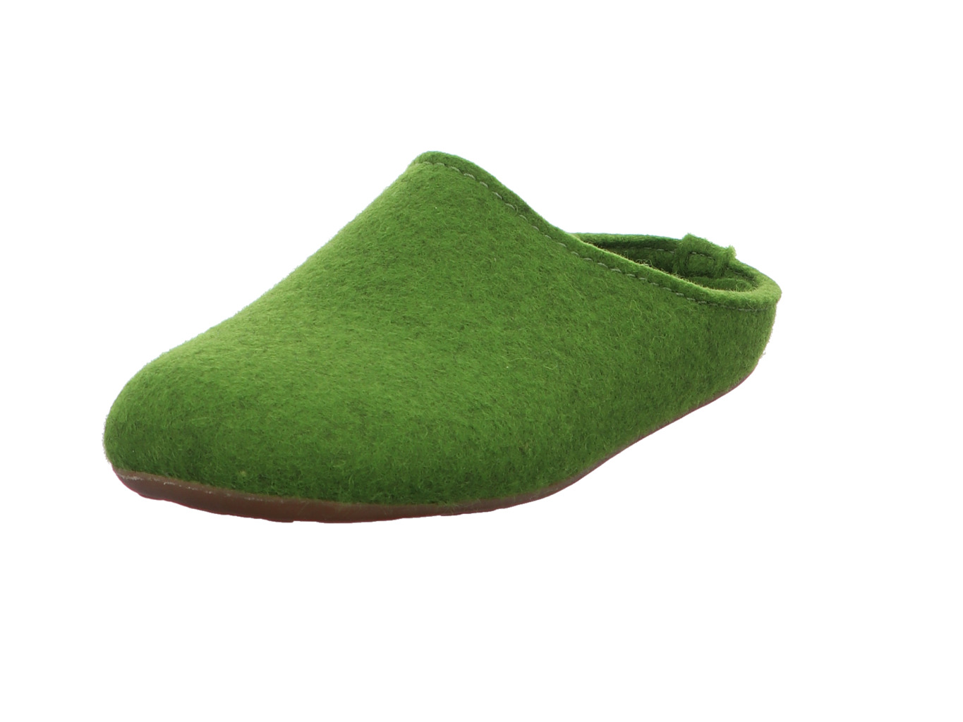 haflinger_everest_fundus_481024_36_1140